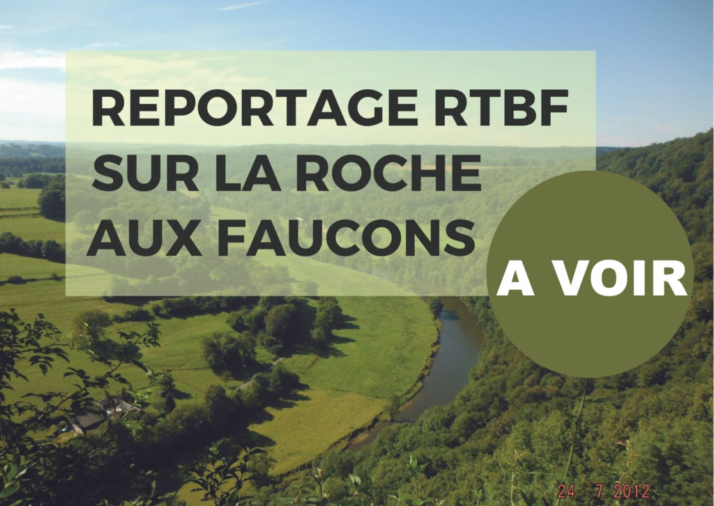 LA RTBF PARLE DE NOUS | Vert & Vie